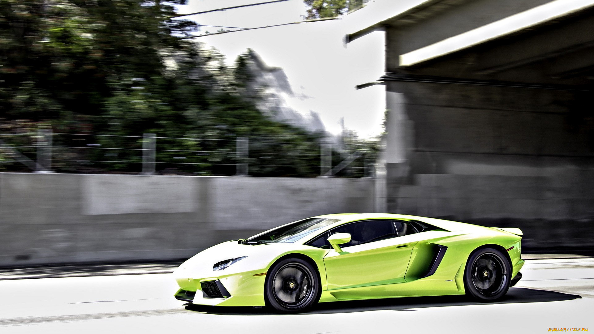 lamborghini, aventador, , automobili, holding, s, p, a, , , -